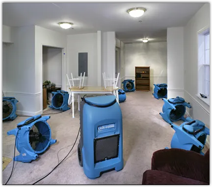 Mold Remediation & Removal in West Greenwich, RI